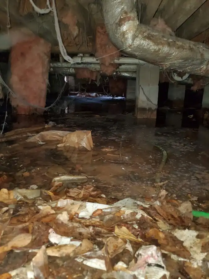 Crawl space flood assessment for Leak Detection & Repair in Copperas Cove
